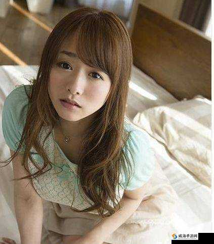 高清无码：Chinese 麻豆 HD XXXX Moviesq 带你领略亚洲风情