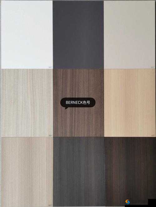 暗夜 Pro 官网色板软件到底有何独特魅力？探索其强大功能与特色