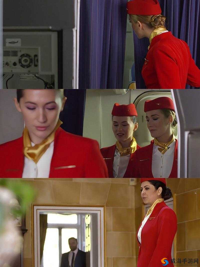 法版空乘：揭秘法国航空的美丽与挑战