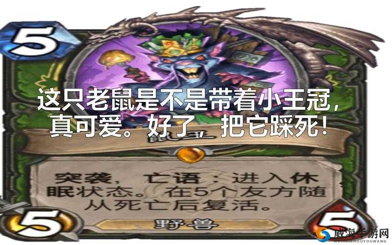 炉石传说鼠群卡牌深度解析，新卡图鉴大揭秘