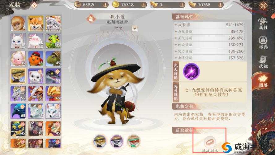 天龙八部手游狗宝宝好用吗?珍兽狗宝宝属性技能图鉴及未来玩法革命预测