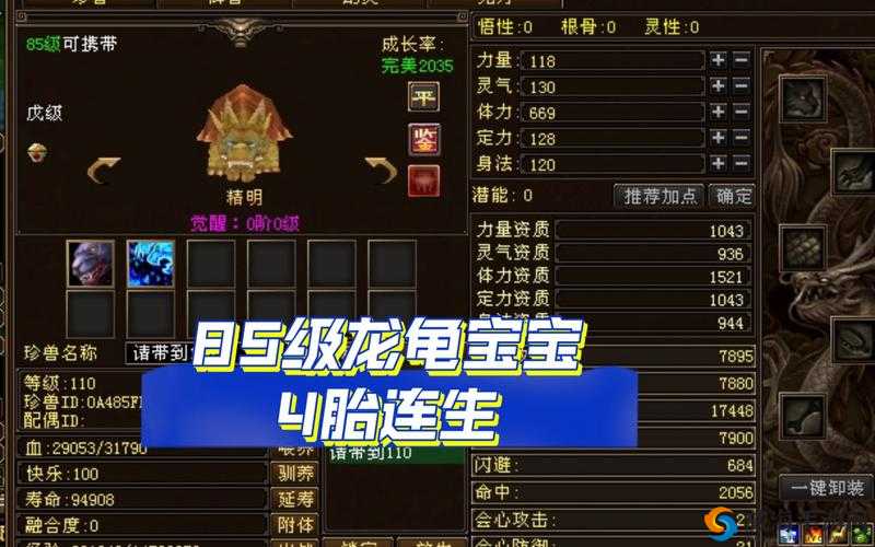 天龙八部手游乌龟宝宝厉害吗？珍兽乌龟宝宝技能图鉴在资源管理中的重要性及高效运用