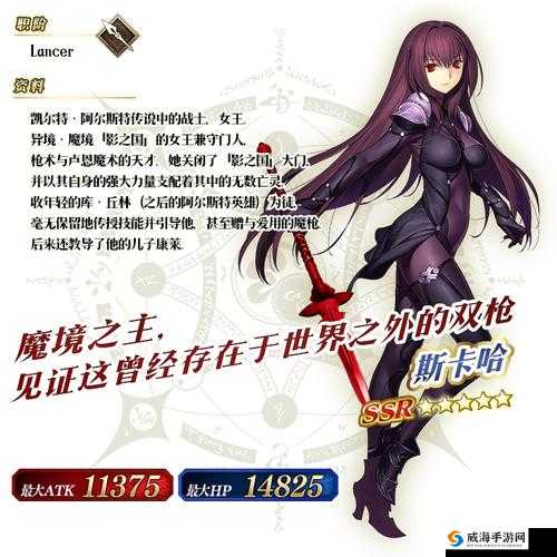 FGO英灵肖像斯哈卡深度解析,属性图鉴与实战价值