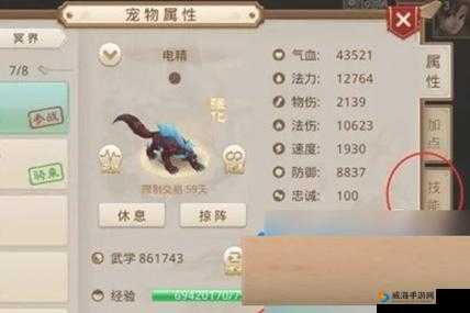 问道手游宠物顿悟技能全攻略及未来玩法革命预测