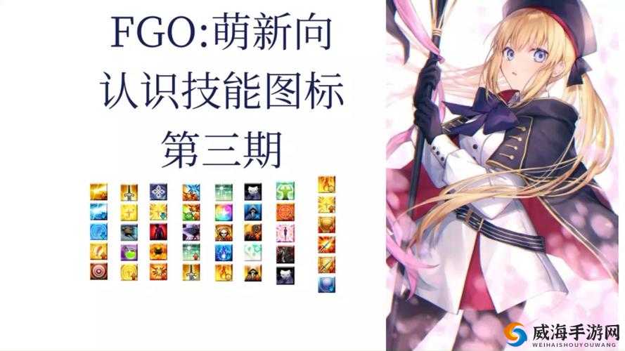 FGO技巧怎么样，技巧属性技能图鉴在资源管理中的重要性及高效利用策略