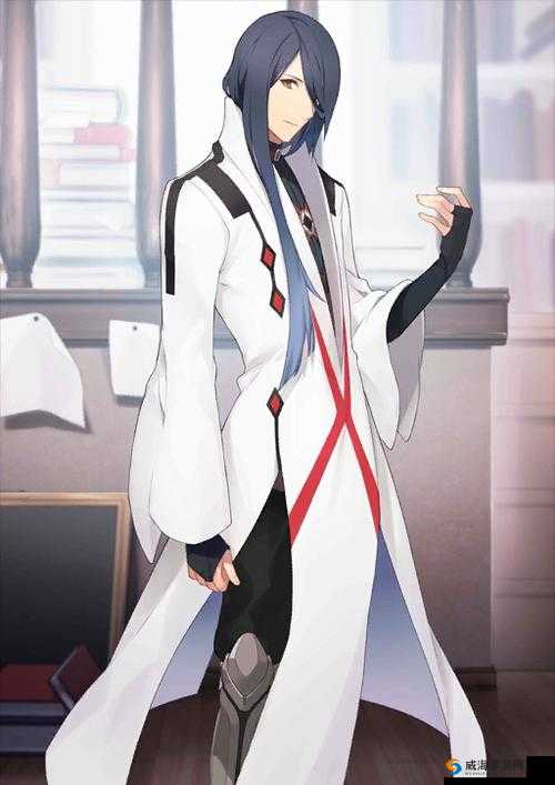 FGO帕拉塞尔苏斯深度解析，技能宝具全揭秘