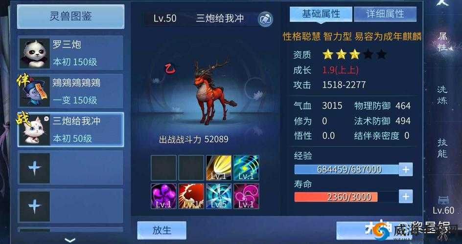 倩女幽魂手游寻梦鸡怎么样？寻梦鸡属性解析