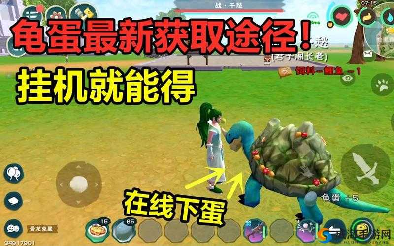 创造与魔法中龟壳的爆率最高地点在哪里？龟壳有哪些实用用途？