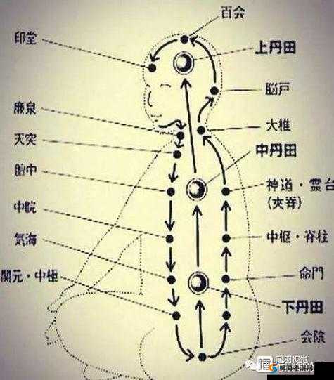 大掌门真气进阶指南：5大步骤助你快速提升真气等级与实战能力