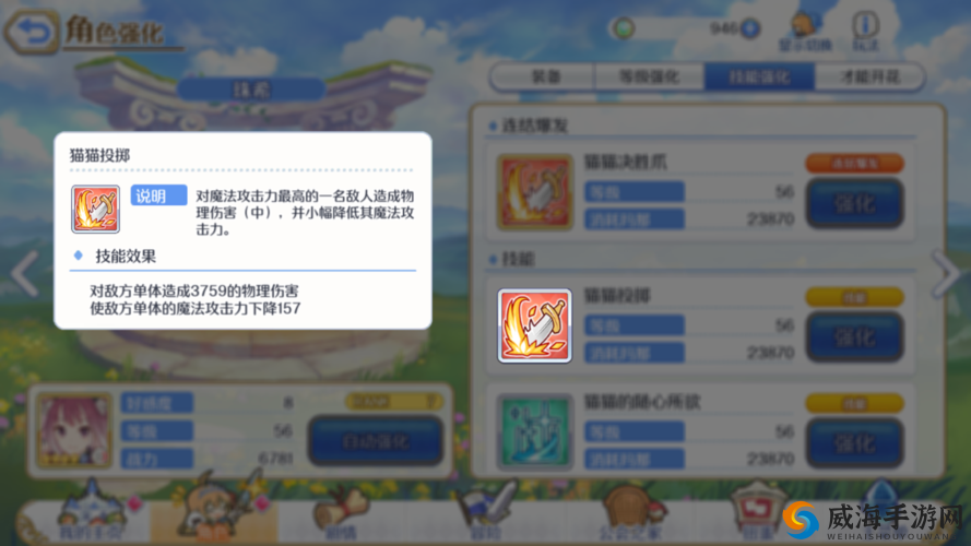 公主连结竞技场藏猫队核心成员解析：5大角色助你轻松制胜
