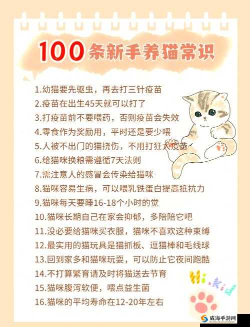 萌宅物语喂猫技巧大公开!5步轻松拿心心,手残党必看~