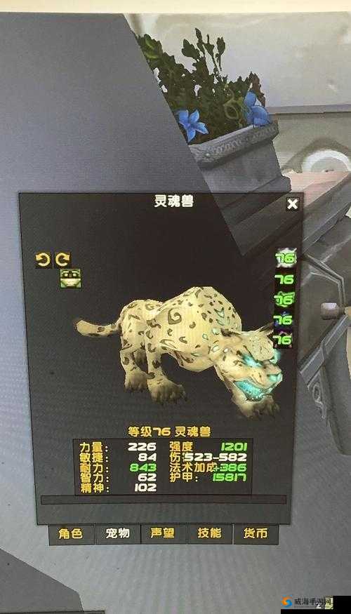 灵魂兽刷新点全曝光！萌新3分钟速成捕捉神技