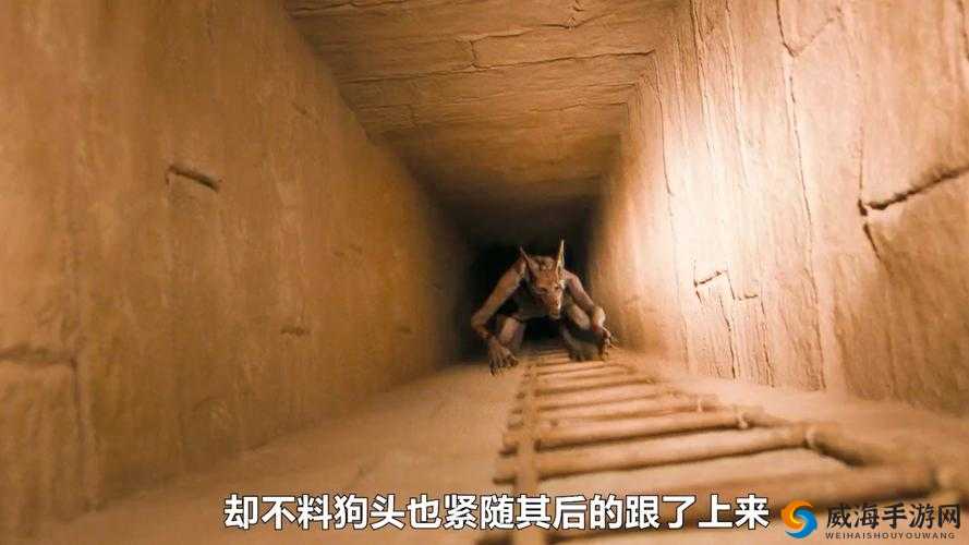 金字塔大逃亡35血泪总结！5分钟看完爆哭攻略，原版带走不后悔！