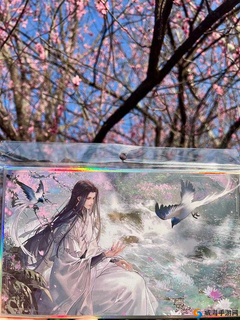 遇见逆水寒明前龙井送给哪个男角色最戳心？明前龙井绝密作用+送礼技巧全解析