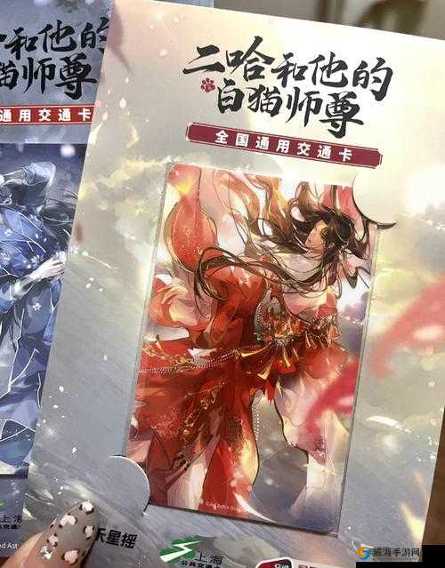 云裳羽衣玄麒书信偶遇灵猫如何回千里传音？绝美互动攻略大公开！