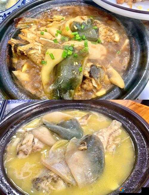 我的起源十锦河豚肉丁怎么做？手残党必看的独家秘籍！十锦河豚肉丁食谱一览，效果翻倍技巧大公开！