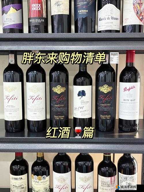 你挖出了一坛葡萄酒，和一份酿葡萄酒的配方···哪一份更值钱呢？绝了！挖到宝物必看攻略