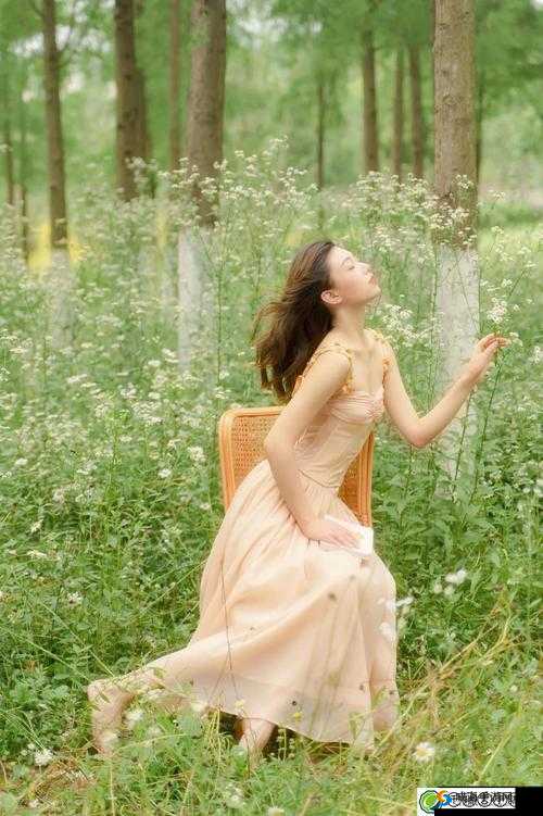 x7x7x7 任意噪 108 视频：带你领略独特的视觉盛宴