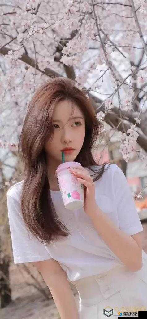 韩国网课少女 ACG 是什么？她为什么被称为 ACCA 少女？