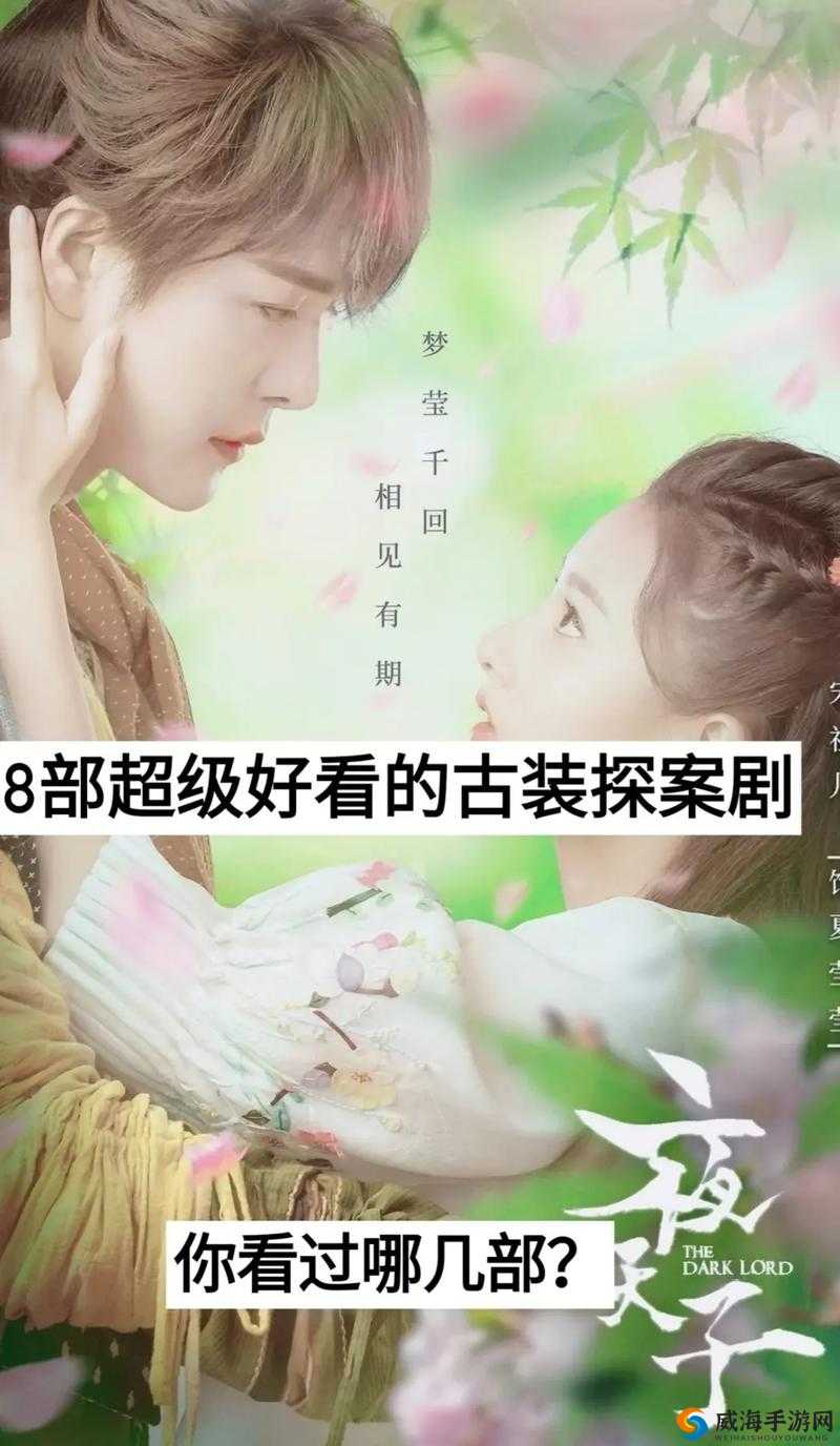 哔哩哔哩10少女大人电视剧全解析：角色魅力与剧情深度探秘，网友热议不断