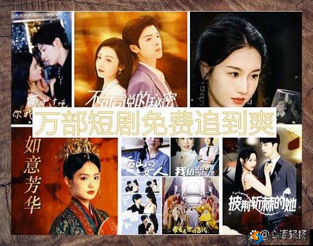 免费全部电视剧大全在线观看哪里有？如何轻松找到并畅享追剧时光？