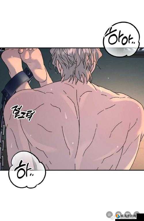 探讨肉体暴力强伦轩动漫中的道德边界与观众心理影响深度解析