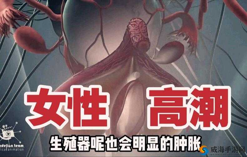 揭秘女人高潮抽搐潮喷的生理反应与科学解析，A片中的真实表现与健康知识全解析